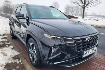 1.6 CRDI 4X4 Full Opcja