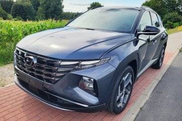 1.6 Hybrid Nowy Model