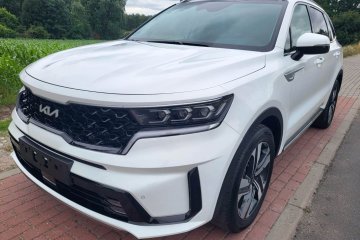 1.6 hybrid Full 7 osobowa