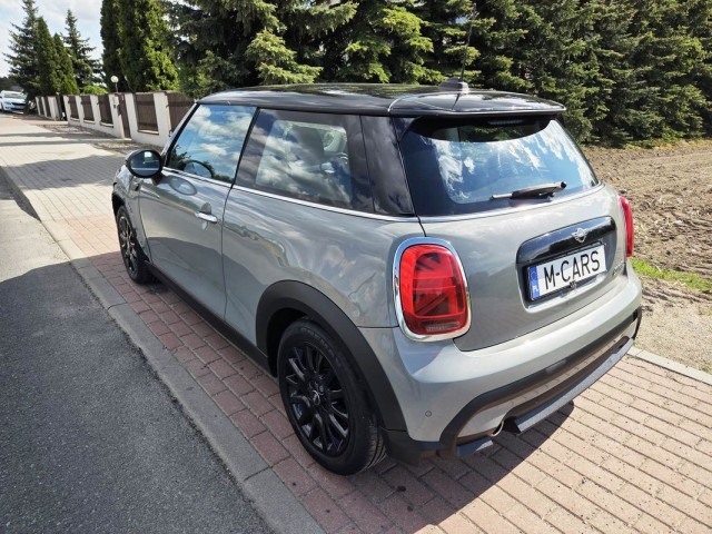mini