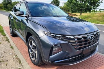 1.6 Hybrid Nowy Model