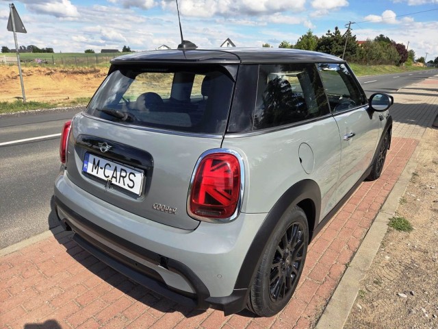 mini